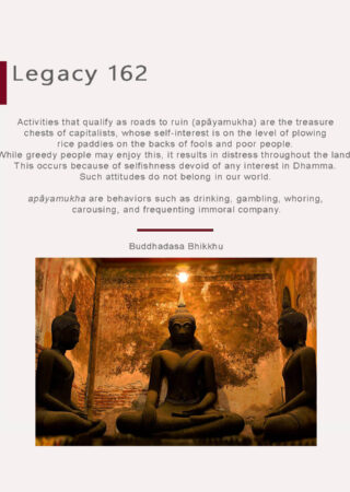 Legacy (162).