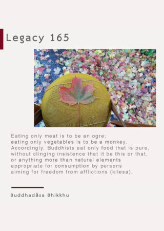 Legacy (165)-edited
