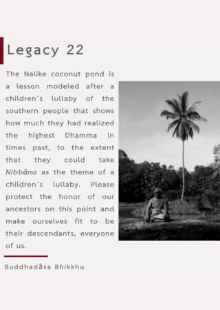 Legacy (22)
