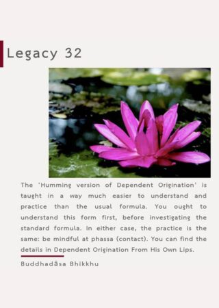 Legacy (32)