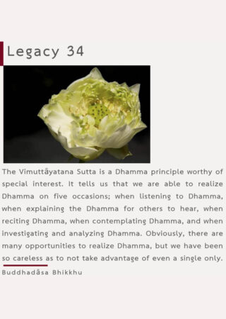 Legacy (34)