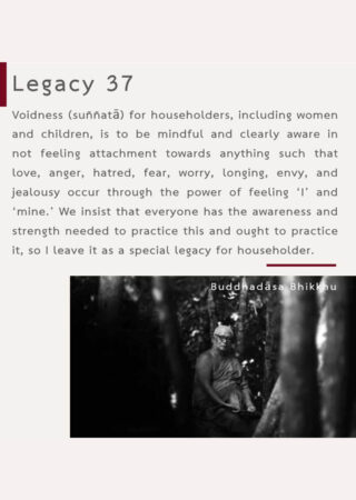 Legacy (37)