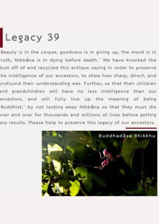 Legacy (39)