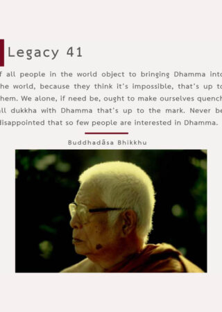 Legacy (41)