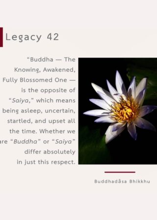 Legacy (42)