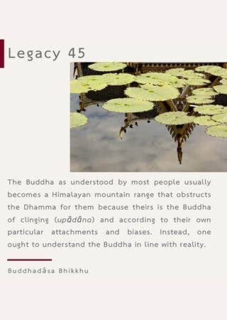 Legacy (45)