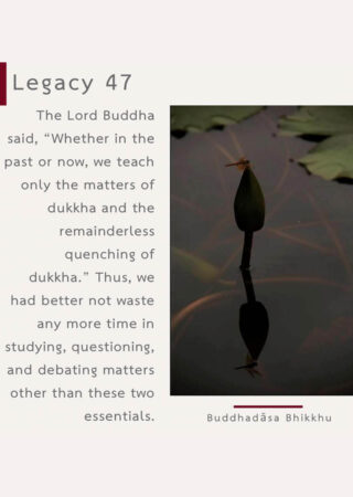 Legacy (47)