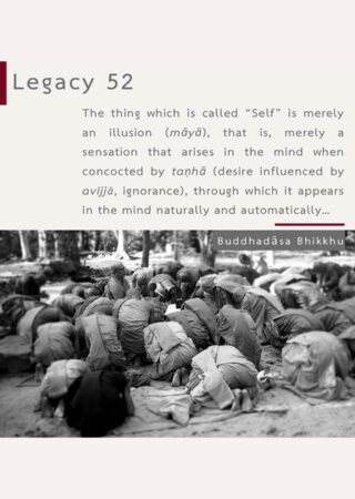 Legacy (52)