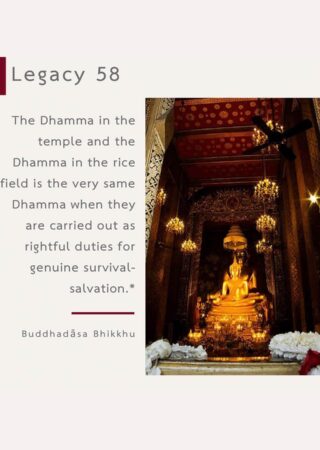 Legacy (58)