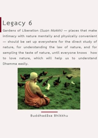 Legacy (6)