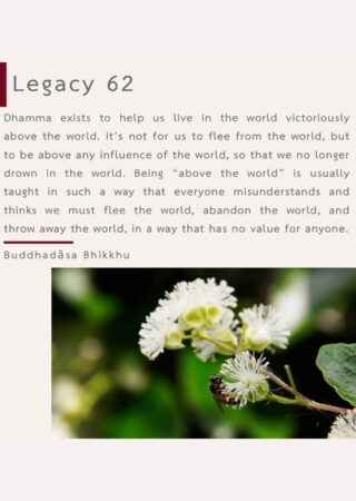 Legacy (62)
