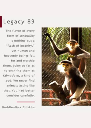 Legacy (83)