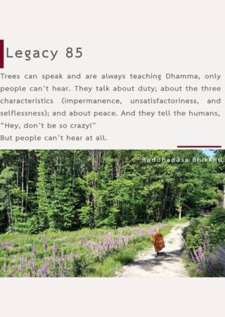 Legacy (85)