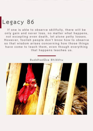 Legacy (86) edited