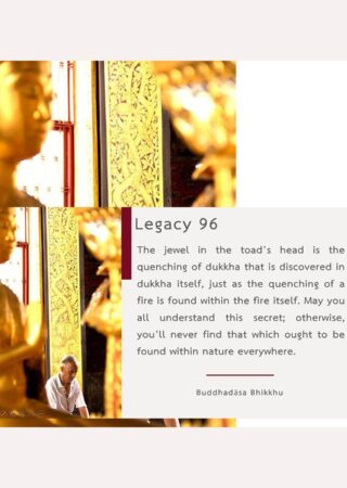 Legacy (96)