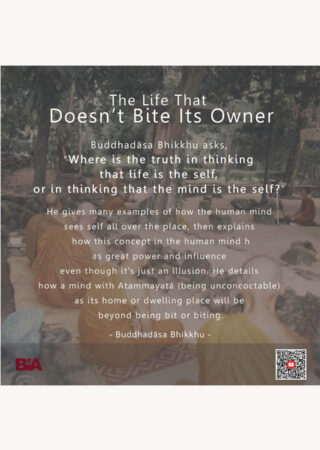 Life That Doesn't Bite Its Owner (3)