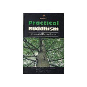 Practical Buddhism