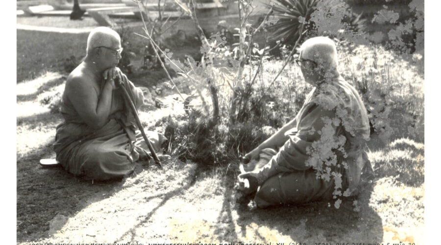 The Demon in Delicious