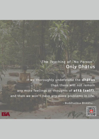 The Dhammic Life (2)