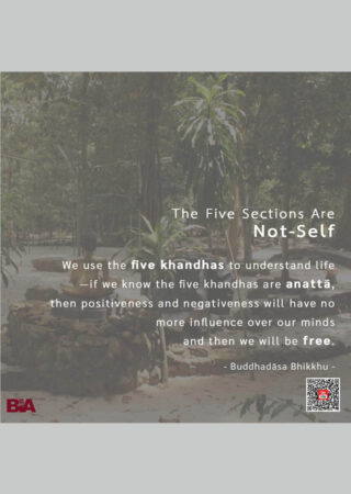 The Dhammic Life (3)