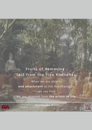 The Five Khandhas (6)