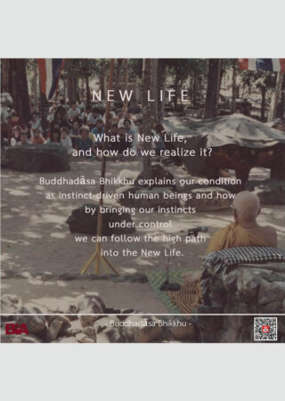 The Middle Way (1)