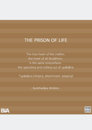 The Prison of Life (1)