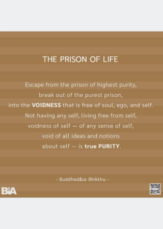 The Prison of Life (10)