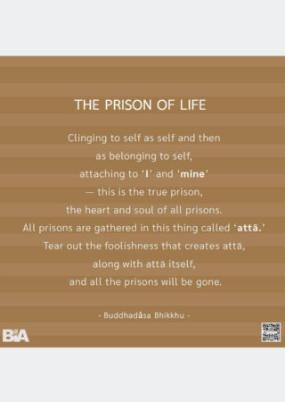 The Prison of Life (12)