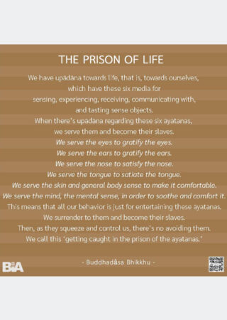 The Prison of Life (13)
