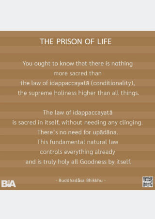 The Prison of Life (14)