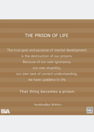 The Prison of Life (5)