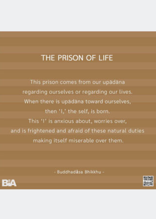The Prison of Life (7)