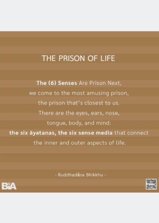 The Prison of Life (8)