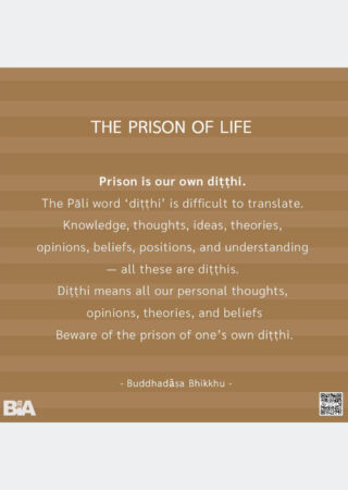 The Prison of Life (9)