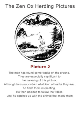 The Zen Ox Herding (2)