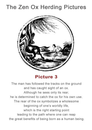 The Zen Ox Herding (3)