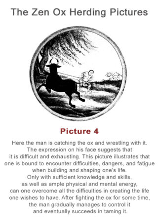 The Zen Ox Herding (4)