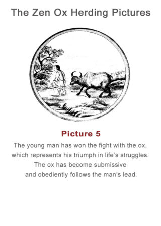 The Zen Ox Herding (5)