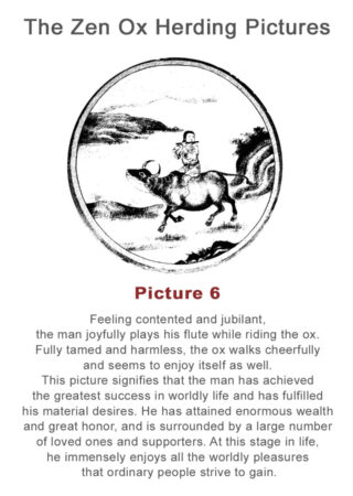 The Zen Ox Herding (6)