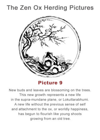 The Zen Ox Herding (9)