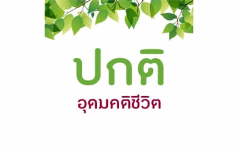 picture20230223102933