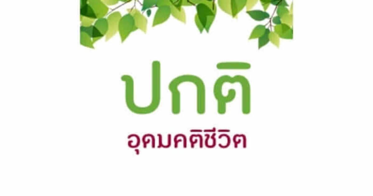 picture20230223102933