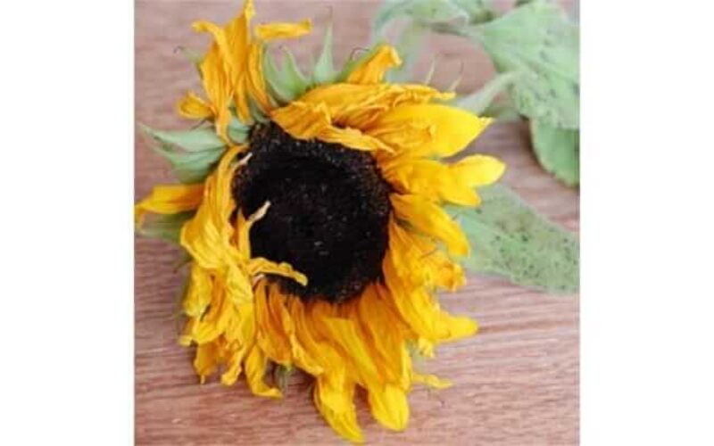 picture20230408102221