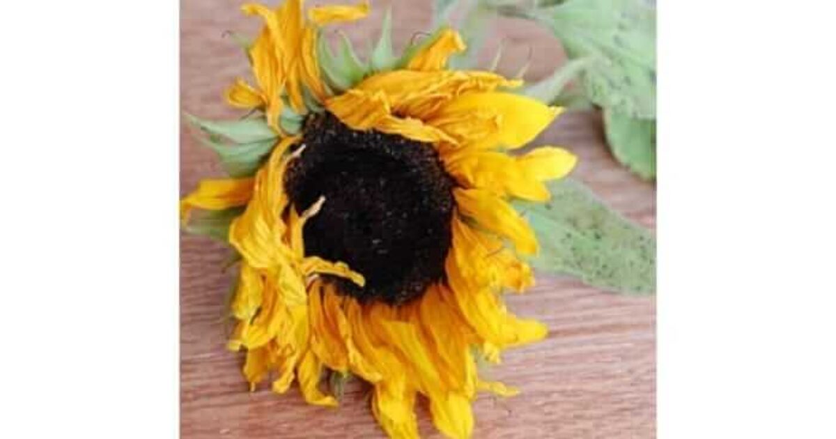 picture20230408102221