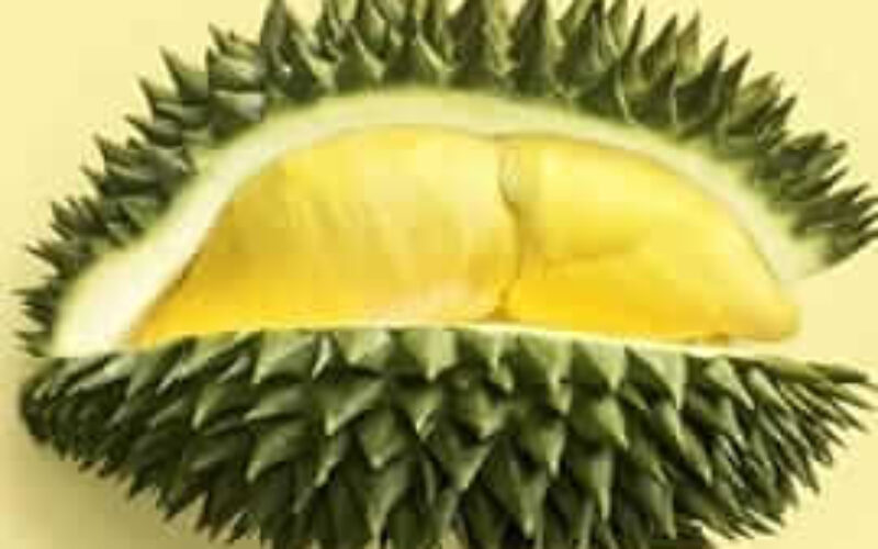 picture20230616135437 (1)