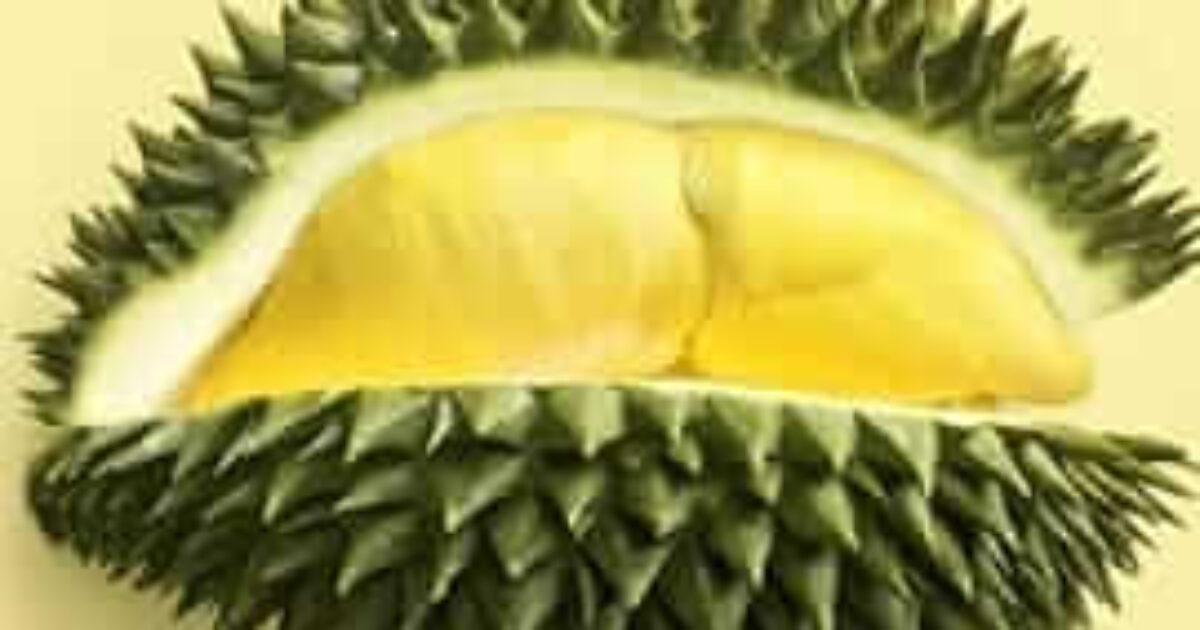 picture20230616135437 (1)