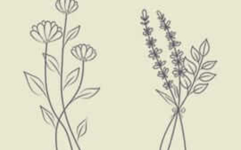 picture20230701001416