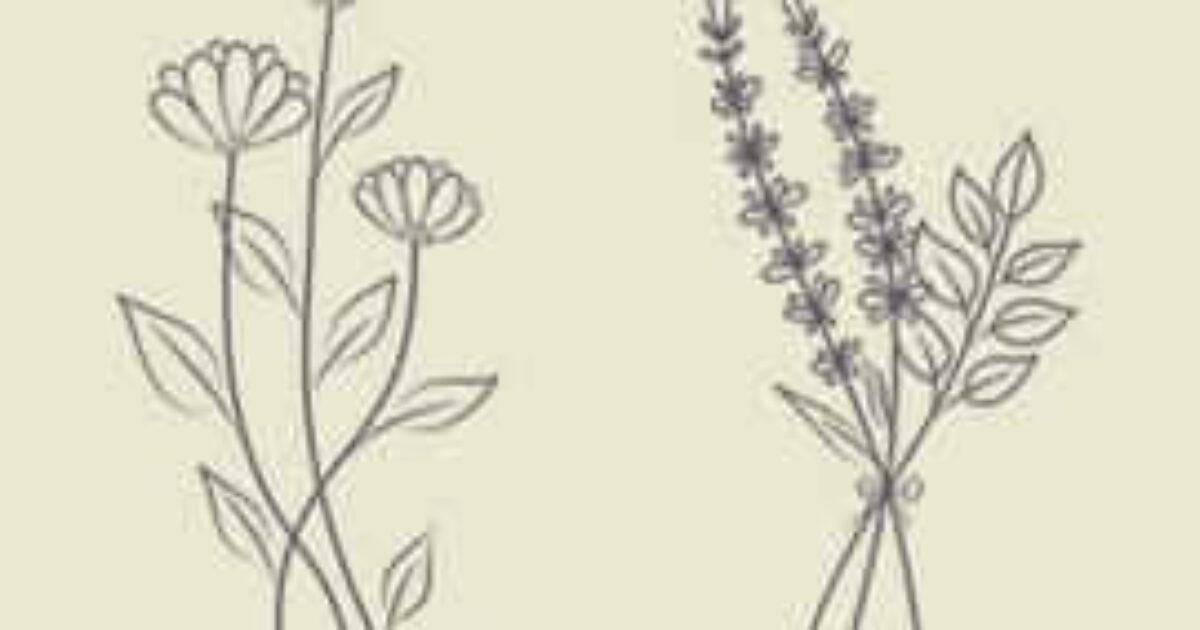 picture20230701001416