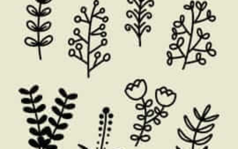 picture20230701001735